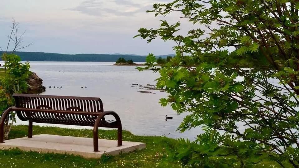 Riverview Suites Clarenville Bagian luar foto